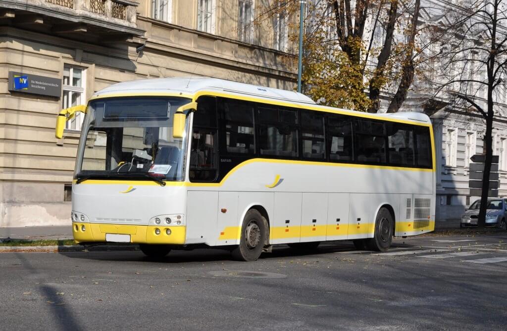 Темса Сафари